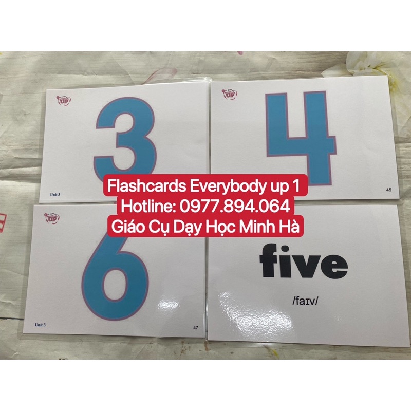 Flashcard  Everybody up 1 kích thước A5 thiết kế hai mặt ép plastics bền đẹp