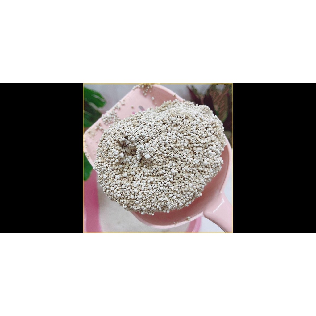 CÁT VỆ SINH CHO MÈO CHẤT LƯỢNG CAO - NATURAL WORLD 16L/ 8KG