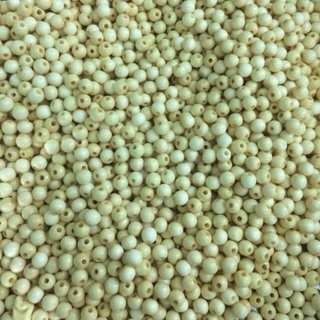 100g hạt dâu tằm cành 6li đều đẹp