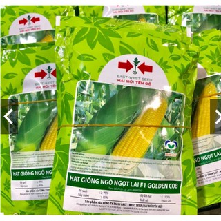 HẠT GIỐNG NGÔ NGỌT LAI F1 GOLDEN COB 50gr