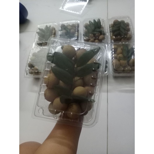 Nhãn xuồng cơm vàng