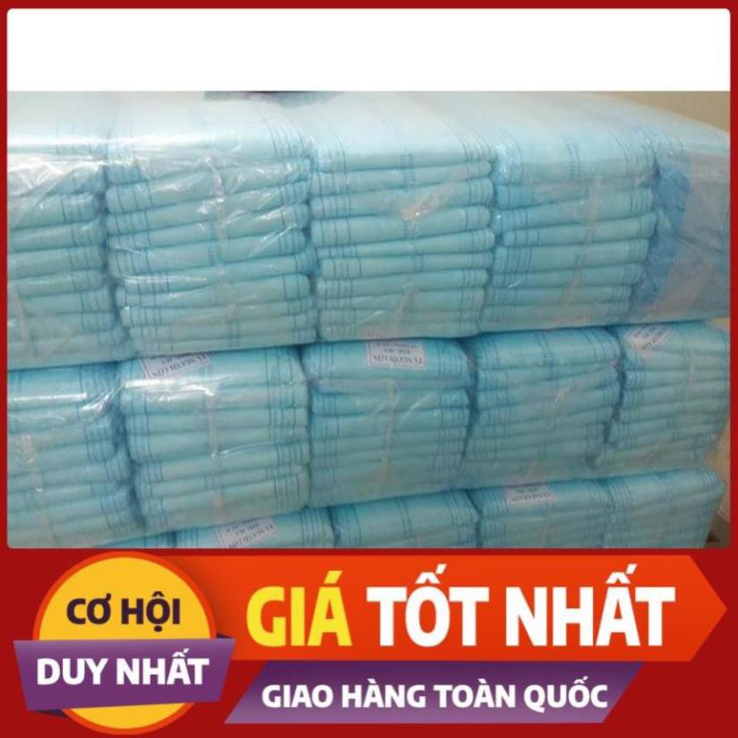 D24H  Bỉm Phú Đạt, Việt Thái cho người lớn, người già, sau sinh (Túi 10 miếng)