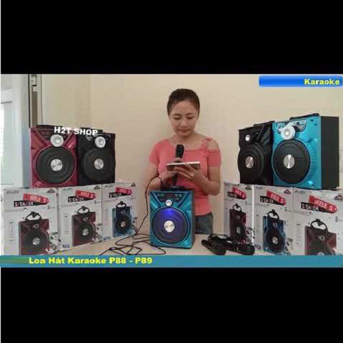 LOA HÁT KARAOKE MINI P88,P89
