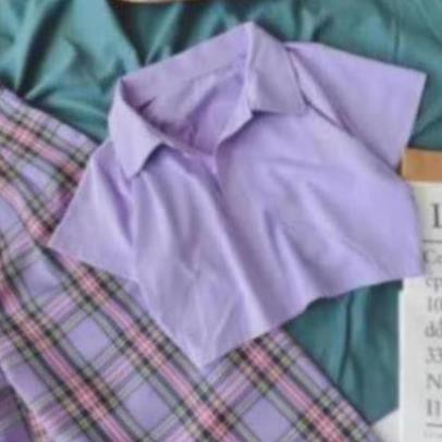 Áo PLO CROPTOP TRƠN TT12