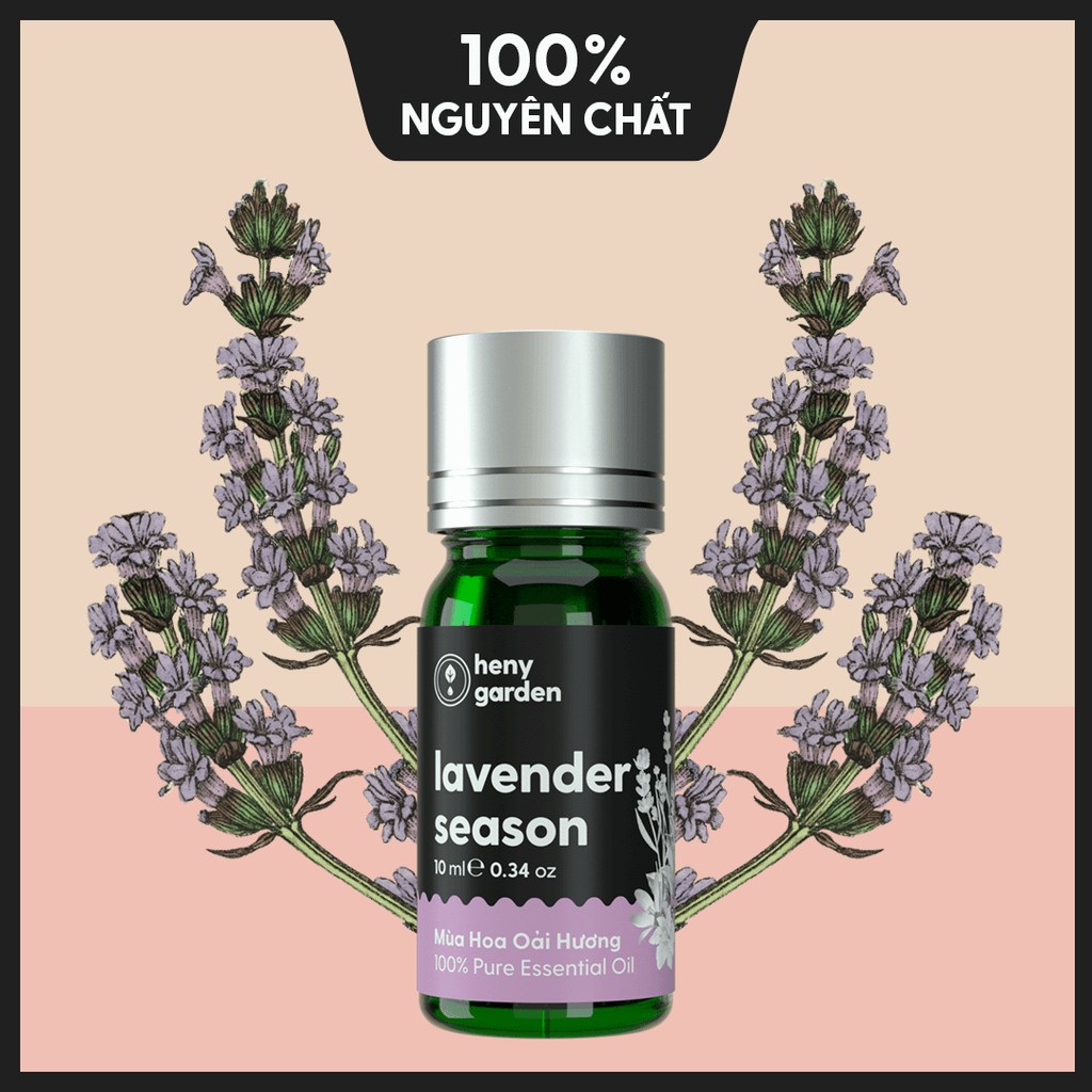 Tinh Dầu Oải Hương Lavender Organic Thiên Nhiên Nguyên Chất Đậm Đặc Xông Thơm Phòng, Làm Nến Thơm HENY GARDEN