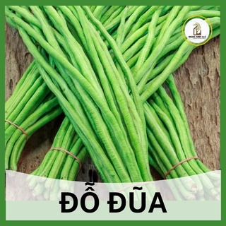 16g hạt giống đỗ đũa - đậu đũa f1, chịu nhiệt, dễ trồng, trồng quanh năm
