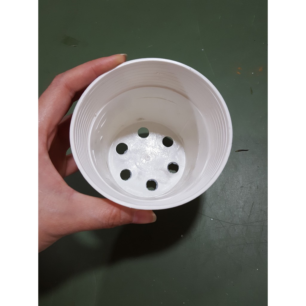 Chậu nhựa cứng 10x9 (cm) trắng ngà (màu kem) !