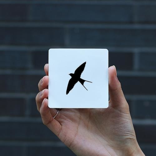 Khuôn decal chim én