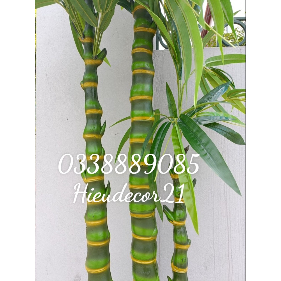 Cây Giả - Cây Trúc Phật Bà  Cao 1,8m