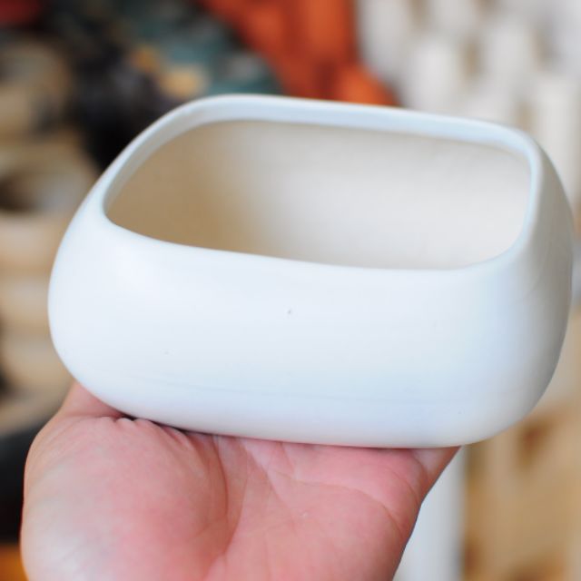 Chậu asa thấp 12x8 cm