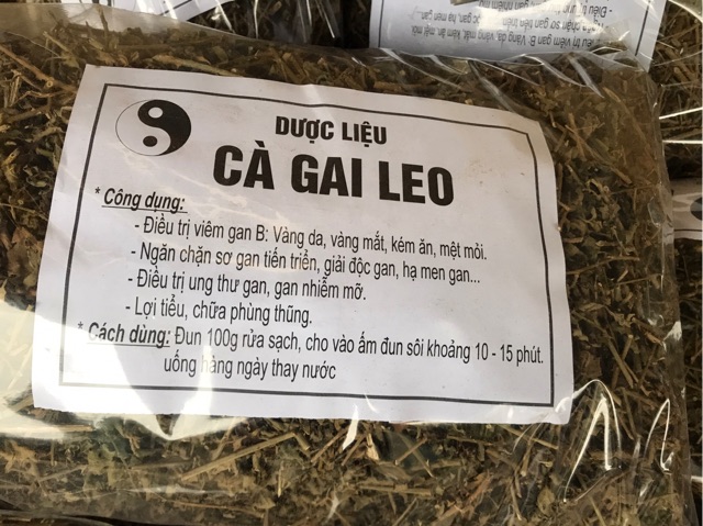Cà gai leo khô túi 1kg