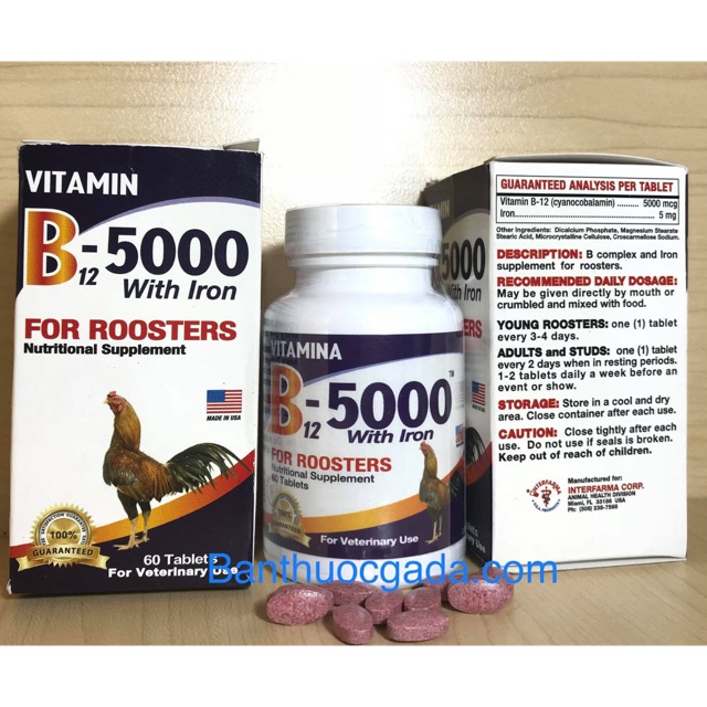 VITAMIN - B12-5000 - THUỐC NUÔI GÀ