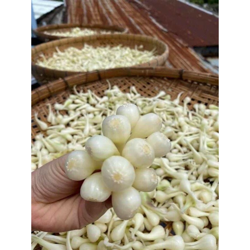 79k hủ 700gr Củ Kiệu Ngâm Chua Ngọt