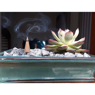 COMBO NỤ TRẦM/ QUẾ NOOM + THÁC KHÓI
