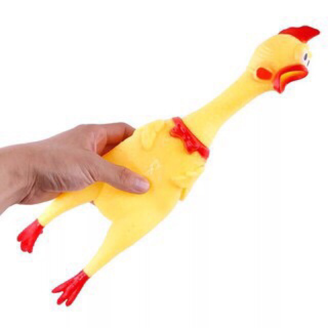 Con gà la hét size to / gà a lử-H166
