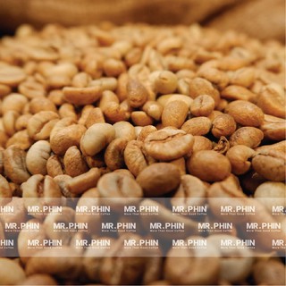 Cà Phê Nhân - Robusta TC2 S18 Natural Dakmil 1Kg - Mr. Phin Coffee
