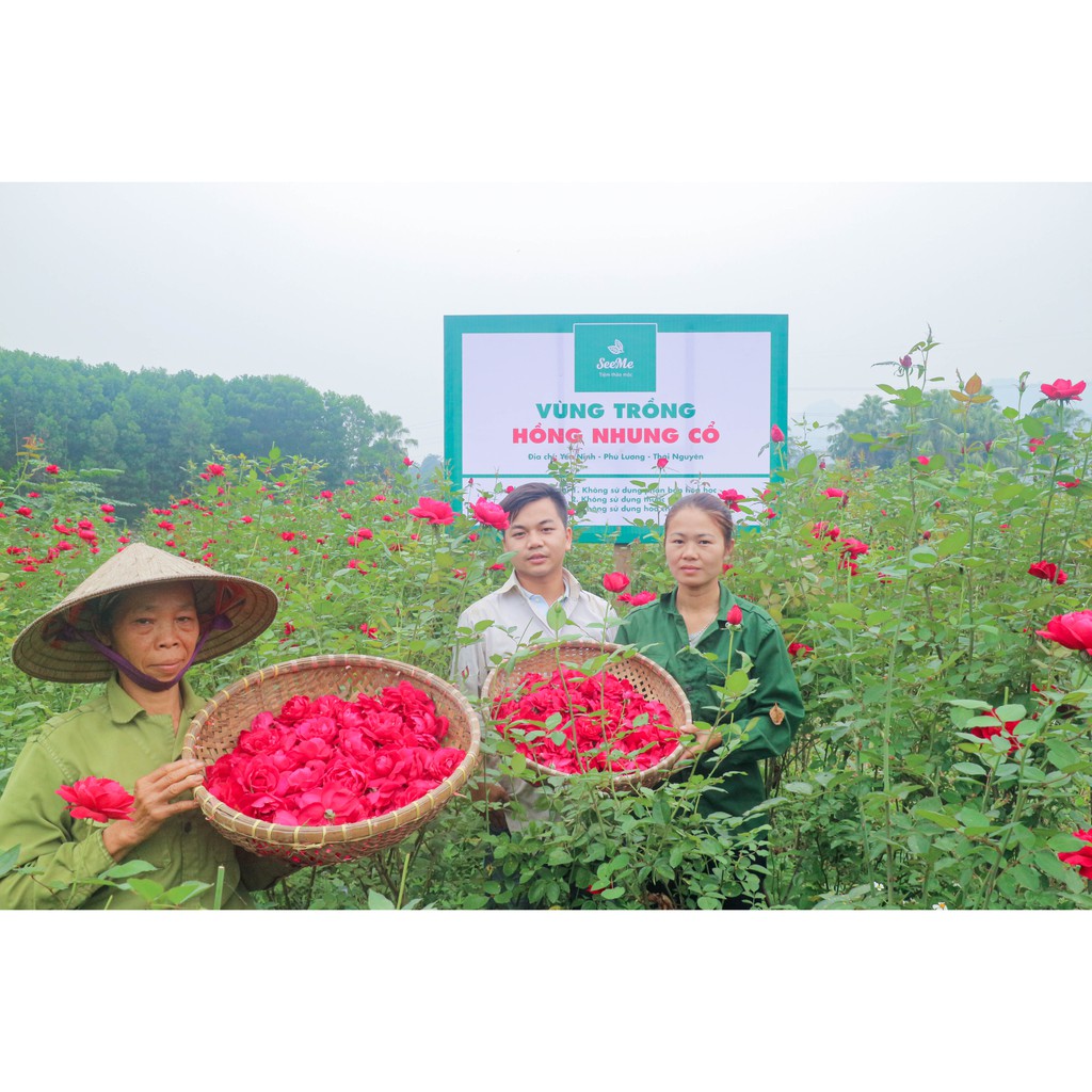 Nước Cất Hoa Hồng Toner Xịt Khoáng Tự Nhiên Nguyên Chất Làm Đẹp Da Dưỡng Da Dưỡng Ẩm An Toàn Không Chất Bảo Quản | BigBuy360 - bigbuy360.vn