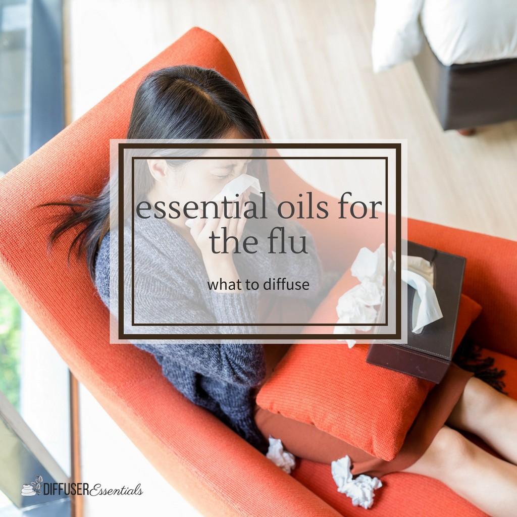Tinh Dầu Thiên Nhiên Hỗ Trợ Trị Cảm Cúm, Cảm Lạnh AloAroma 10ml (Flu Treatment Essential Oil)