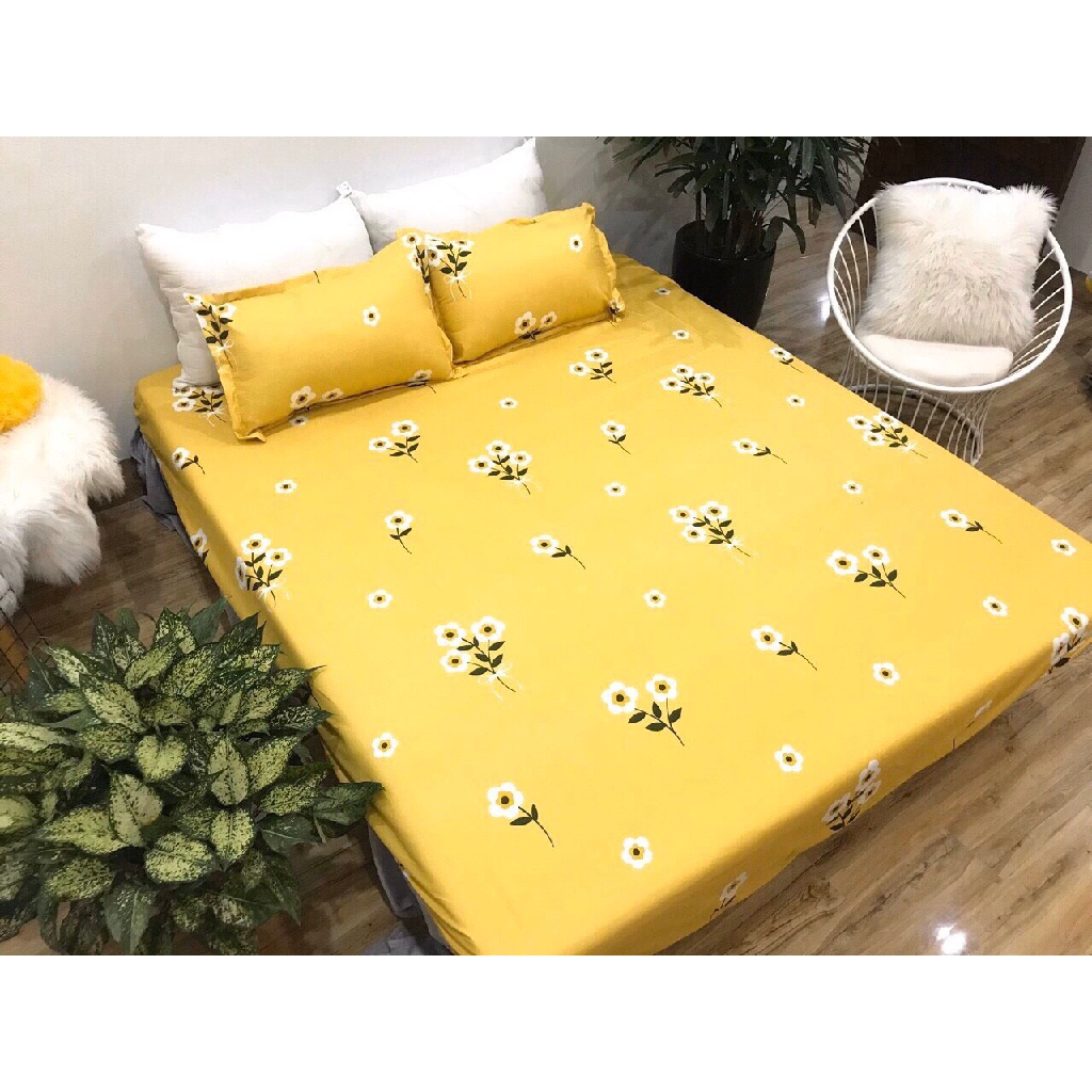 Bộ ga giường và vỏ gối poly m2/m6/m8 và vỏ gối lẻ