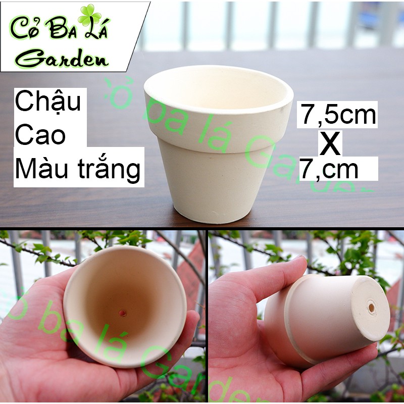 Chậu Đất Nung Bát Tràng,Trồng Sen Đá Và Xương Rồng,phù hợp với các cây mini