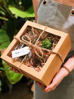 Hộp Giấy Kraft (nhiều màu)