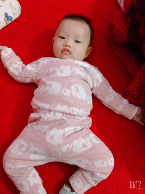 Bộ nỉ voi+ áo len