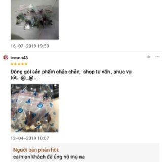 Combo 10 túi yến nguyên chất