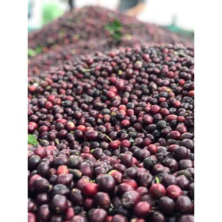 cà phê nguyên chất