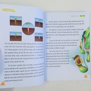 Sách: Combo Thư Viện Tri Thức Dành Cho Học Sinh ( Hộp 4 Cuốn)