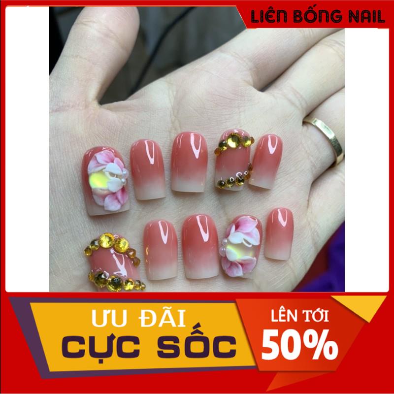 hoa bột nail - hoa cúc mắt mèo