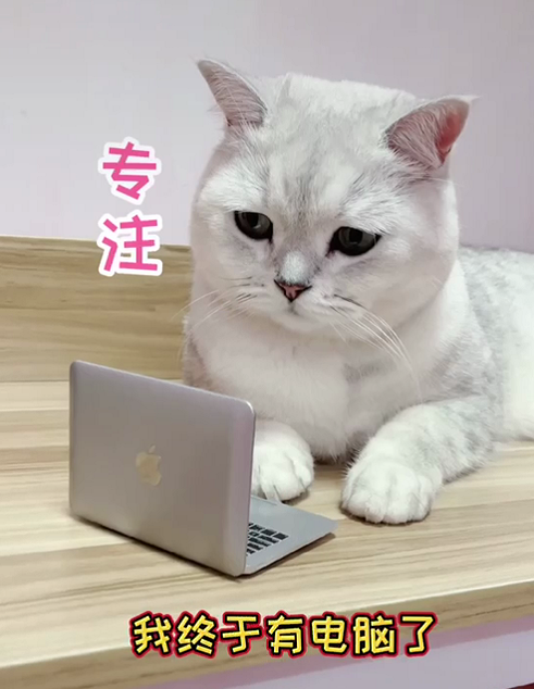 Gương trang điểm mini hình máy tính thiết kế sáng tạo tiện dụng