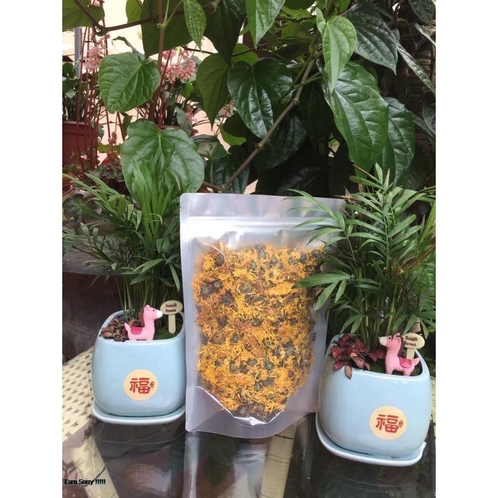 Trà Hoa Cúc Mâm Xôi Mộc Sắc ( trà hoa cúc vàng) sấy khô thượng hạng | BigBuy360 - bigbuy360.vn