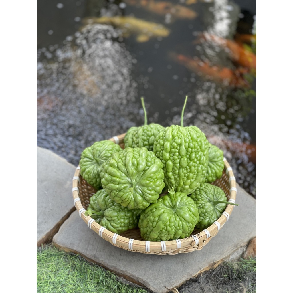 Phân hữu cơ vi sinh trichoderma gói 1kg
