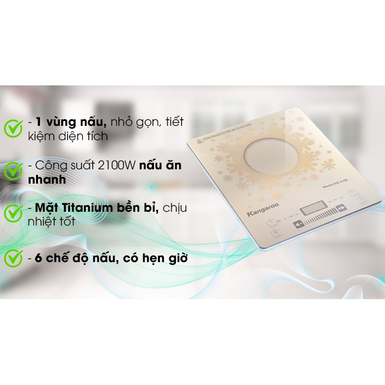 Bếp từ Kangaroo KG419i