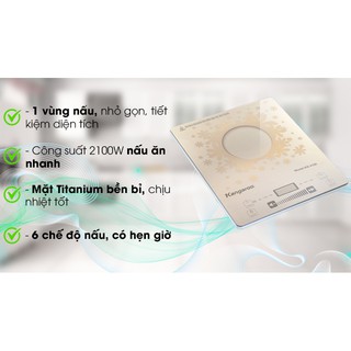 Bếp từ Kangaroo KG419i