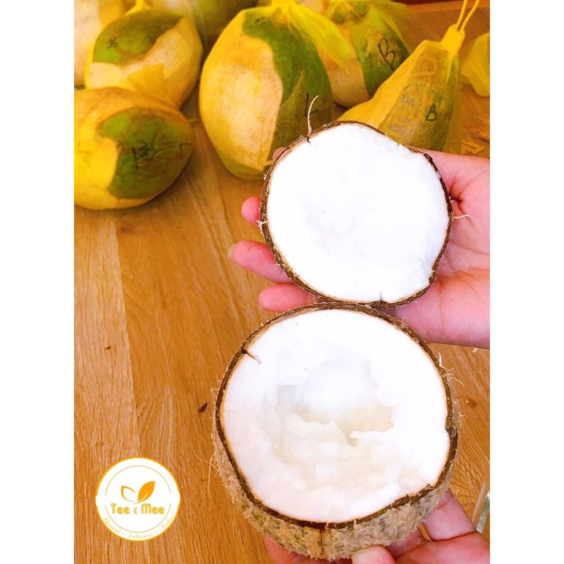 [Mã 267FMCGSALE giảm 8% đơn 500K] Dừa Sáp Đặc Biệt - Size Nhỏ Dùng Thử - Cơm Siêu Dày - Tee & Mee | BigBuy360 - bigbuy360.vn