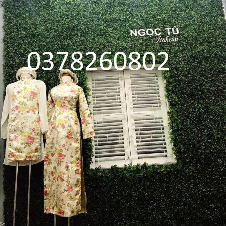 CỎ CẢI XOONG TREO TƯỜNG GIÁ RẺ