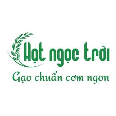 Gạo Mầm Vibigaba 1kg - tốt cho sức khỏe