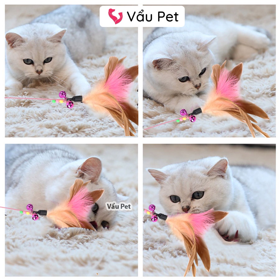 Cần Câu Mèo Dây Thép Đồ chơi cho mèo Vẩu Pet Shop