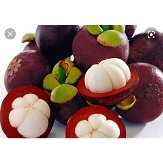 Măng cụt 1kg=40k, mangoteen fruit