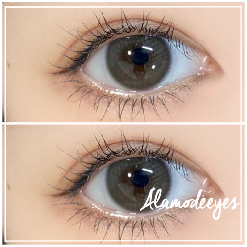 NEW lens xám rêu trong áp tròng