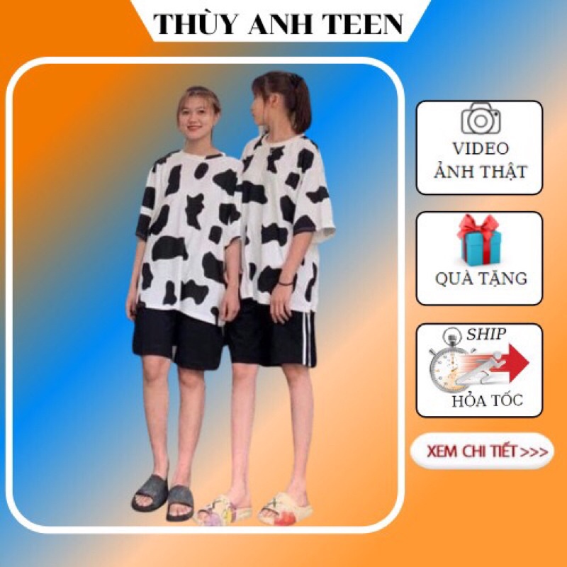 Set bộ áo bò sữa kèm quần sooc 3 sọc, bộ short đùi, áo thun tay lỡ hoạ tiết bò sữa, bộ mặc nhà kute form thụng