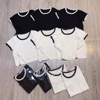 ÁO CROPTOP BO VIỀN