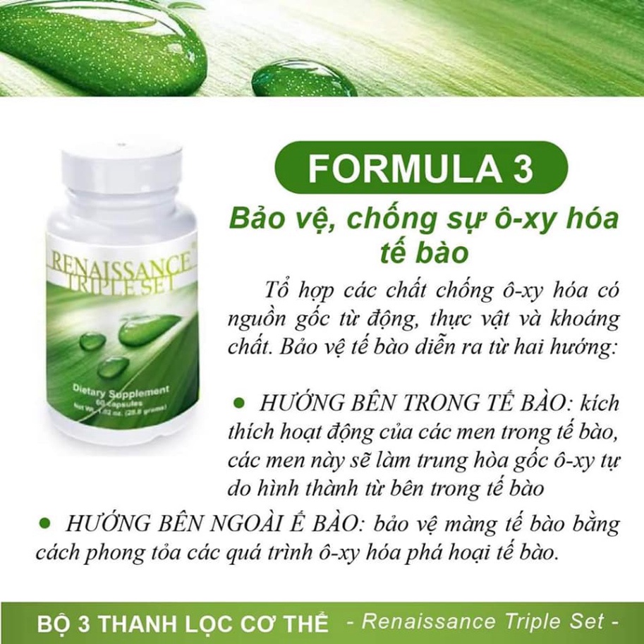 Bộ 3 trà thải độc Renaissance Triple Set - Siberian Wellness - 180 viên