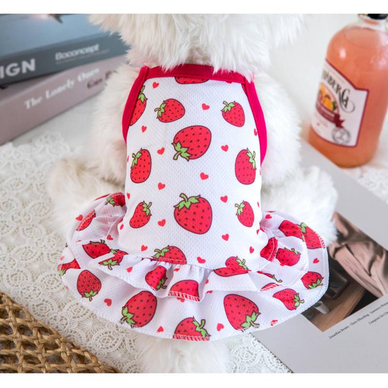 Hipidog Đầm hai dây họa tiết trái cây dễ thương dành cho cún cưng