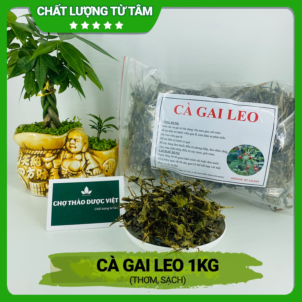 [Giá Sỉ] 1kg Cà Gai Leo (Thơm, Sạch)