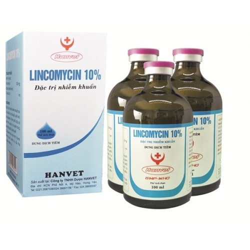 LINCOMYCIN 10% (100ml) - chỉ dùng trong thú y