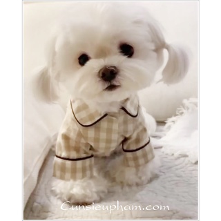 Áo pijama Hàn Quốc sọc sang chảnh cho chó mèo