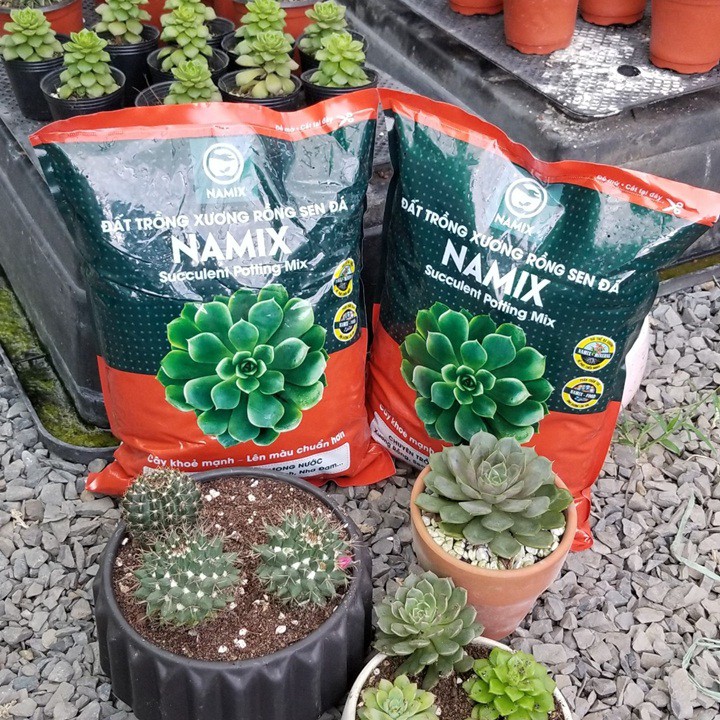 Đất trồng Sen đá Namix (Succulents Potting Mix) - Chuyên trồng cây mọng nước như Xương rồng, sen đá, nha đam...