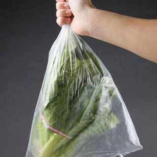 [RẺ VÔ ĐỊCH]Túi Đựng Thực Phẩm Tự Phân Huỷ Sg